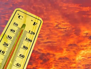 Sıcaklıklar 12 derece artıyor, orman yangını riski en üst seviyede